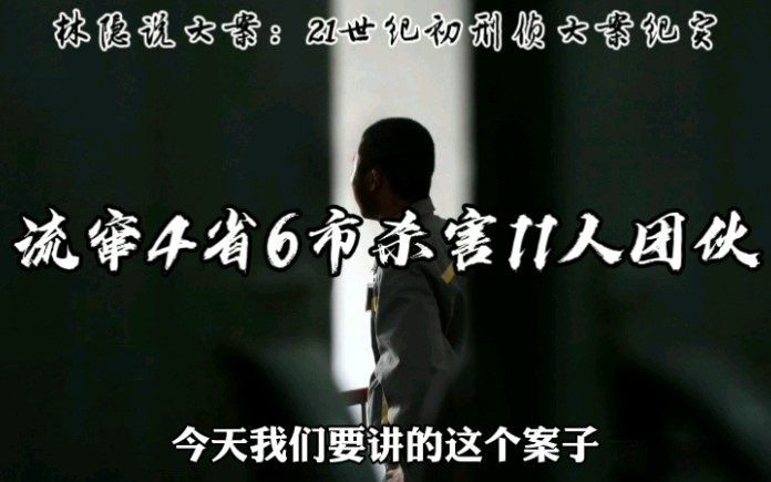 【林隐说大案】21世纪初刑侦大案纪实丨13年间流窜四省六市杀害11人,首犯徐小明狂妄自称以杀人为生哔哩哔哩bilibili