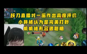 Download Video: 妖刀直播对于一诺作出高度评价，认为其实力很强，经常细节拿捏自己。对于小胖妖刀觉得是自己心中的完美打野，对于帆帆妖刀也作出一定的回应！