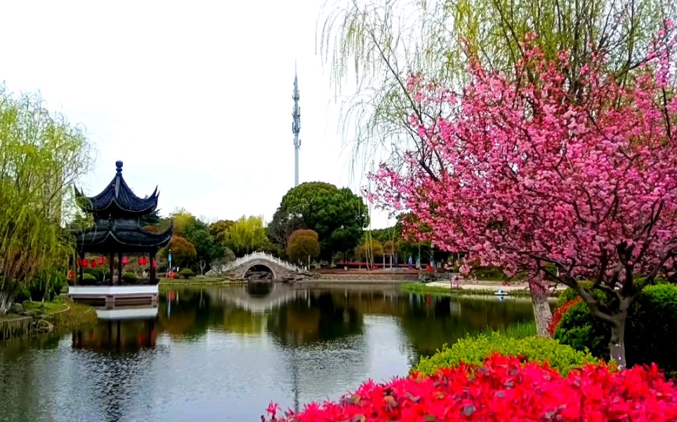 江南春天美如畫,崑山花橋鎮花溪公園