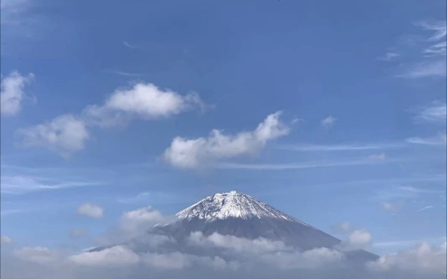 [图]【高考地理】环境保护类选修，附保护动物类大题答题模板