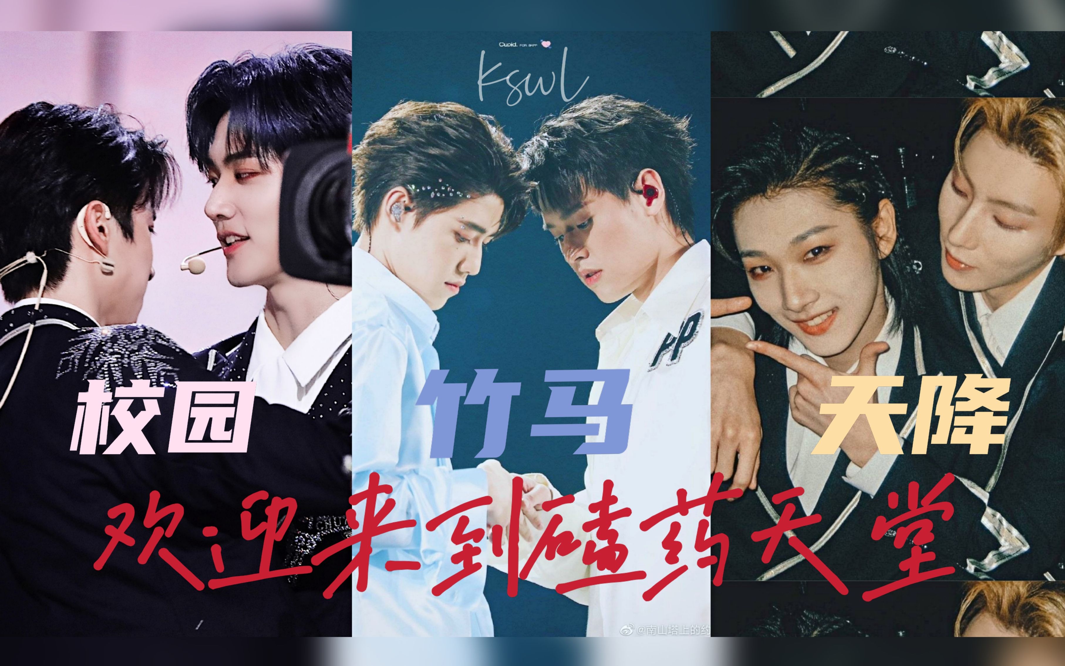 cp向reaction_哔哩哔哩_bilibili