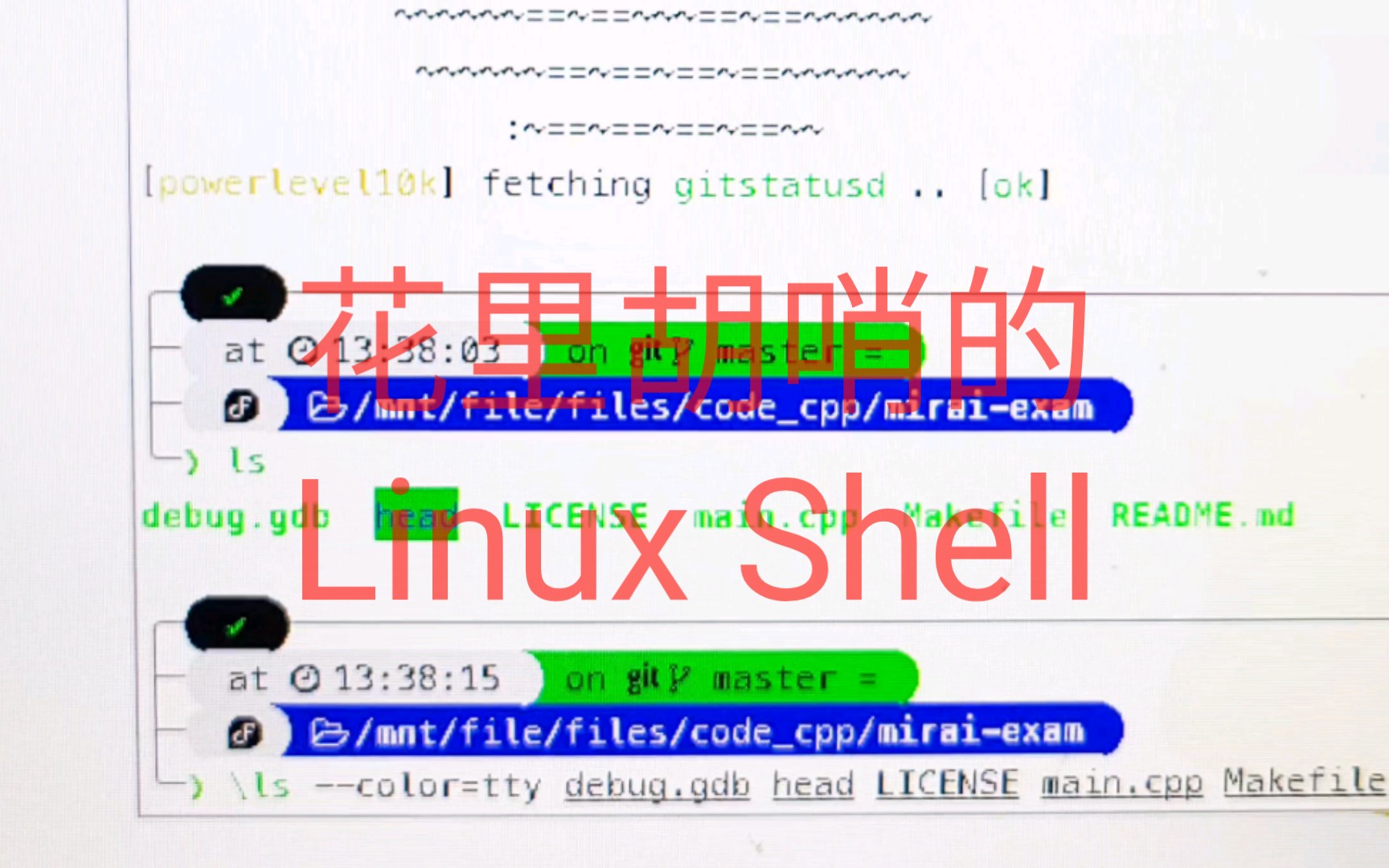 花里胡哨的Linux Shell,你会吗?哔哩哔哩bilibili