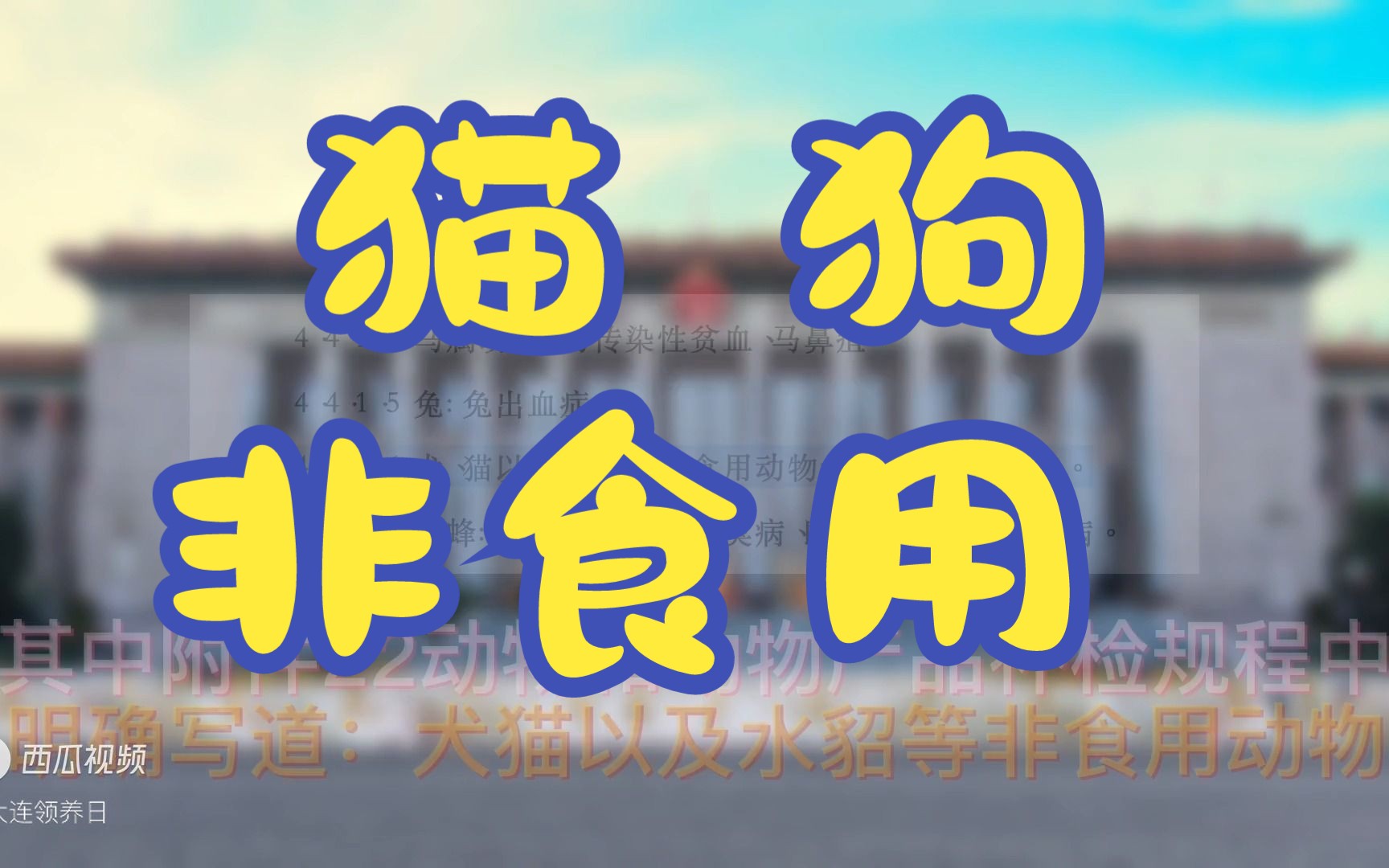 农业农村部:犬猫是“非食用动物”#善待动物哔哩哔哩bilibili