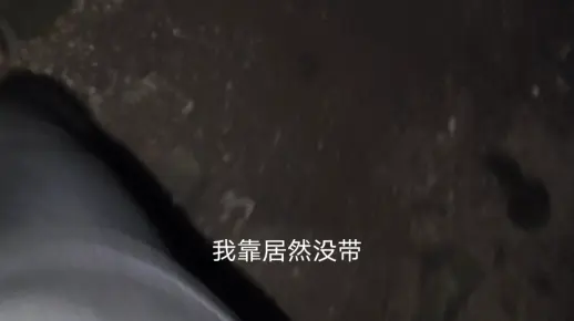 又又又要吃黄脚鱲