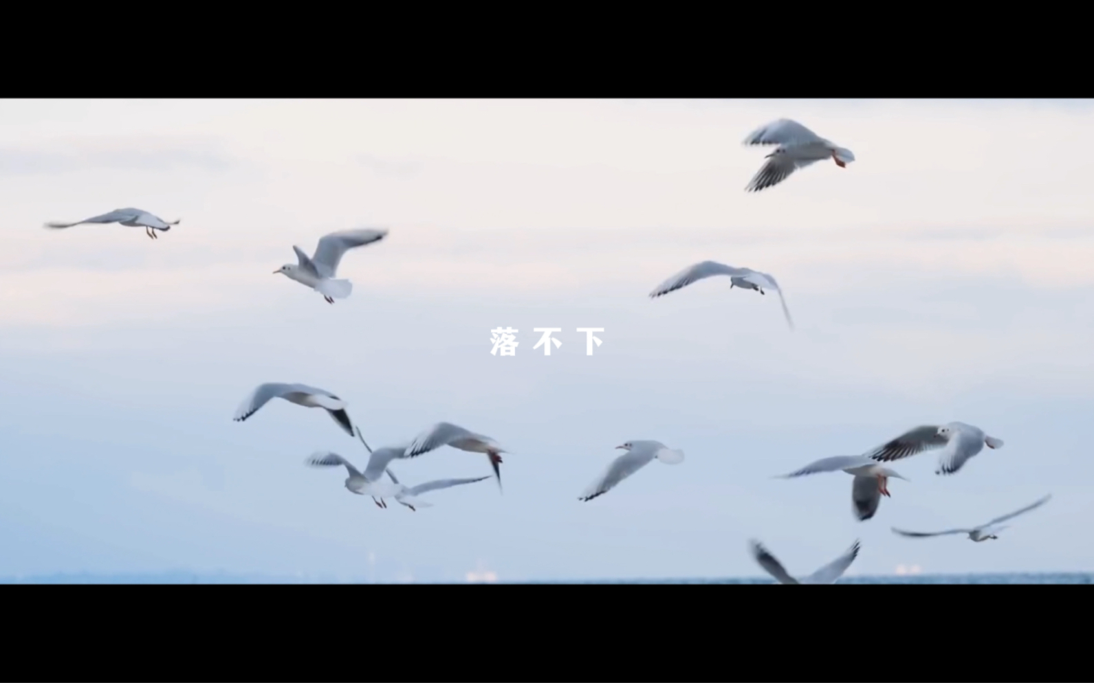 【落不下】我爱你可我是胆小鬼