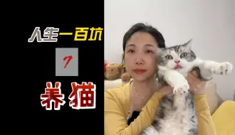 Tải video: 别养猫！会变得不幸！