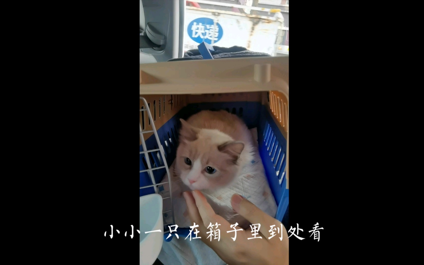 纳宝体检哔哩哔哩bilibili