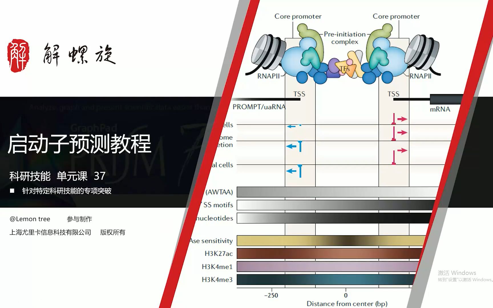 启动子预测教程启动子区motif预测哔哩哔哩bilibili