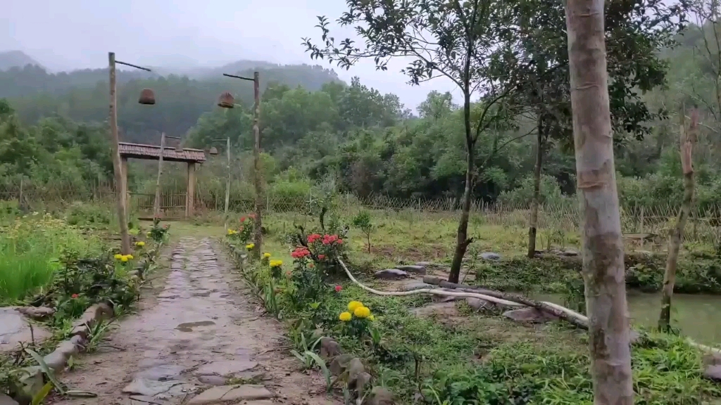 山间田园生活,简简单单,种花种草,一切都是属于自己的生活哔哩哔哩bilibili