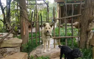 Скачать видео: 滴滴答答山里又在下雨，静静地欣赏着周围，也是一种享受