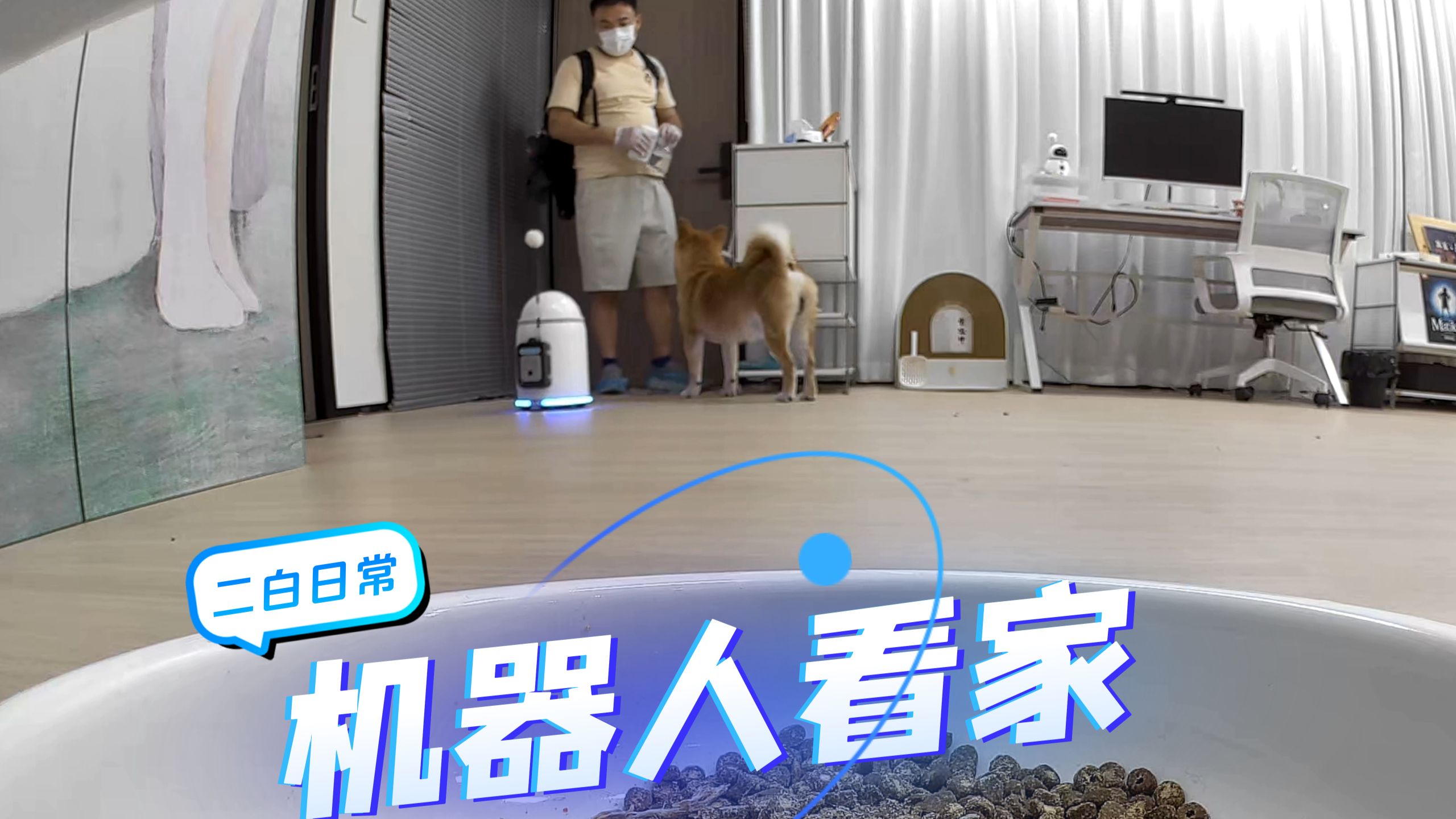 找了陌生人上门喂猫遛狗，被家里机器人全程盘问