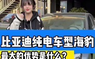 Télécharger la video: 比亚迪海豹，那么你会选择这款车型吗？