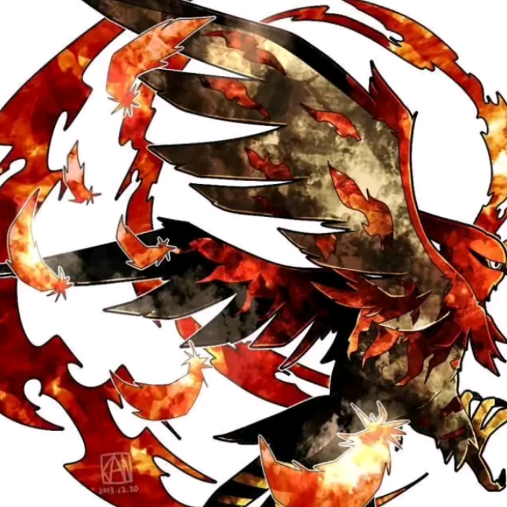 烈箭鹰图片合集_哔哩哔哩_bilibili