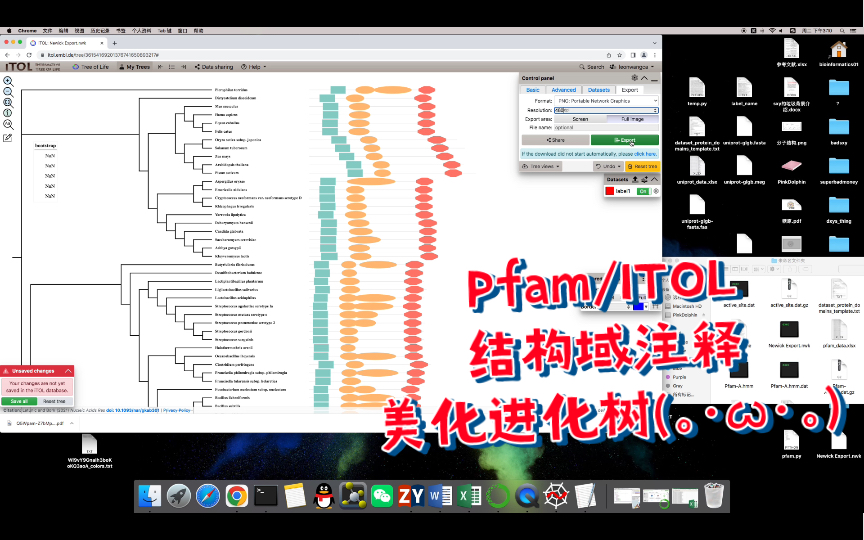 Pfam/ITOL结构域注释树哔哩哔哩bilibili