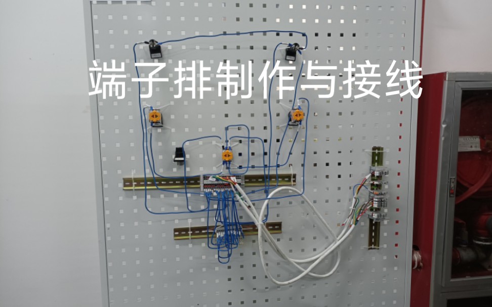 实训项目 端子排制作与接线哔哩哔哩bilibili