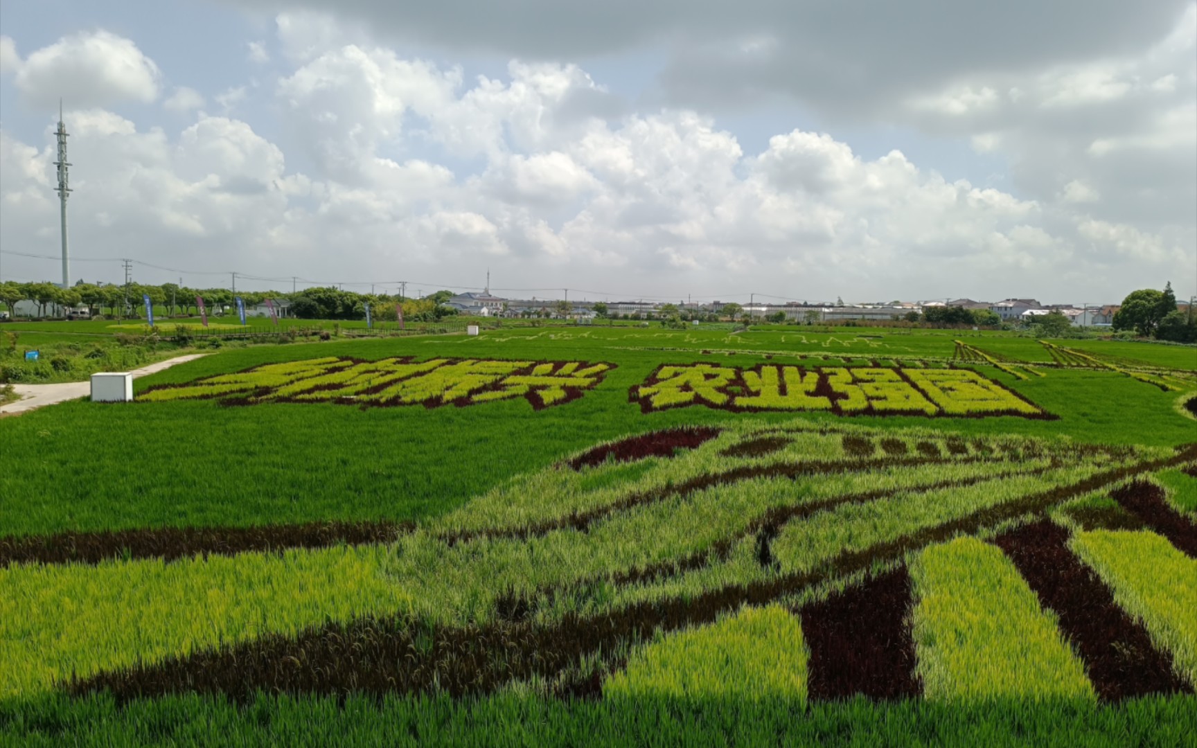 魔都溜达-上海惠南镇海沈村 观光车游览新农村 乡村振兴 农业强国