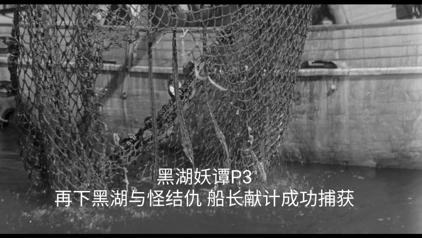 [黑湖妖谭 Creature from the Black Lagoon](1954)P3自译中字哔哩哔哩bilibili