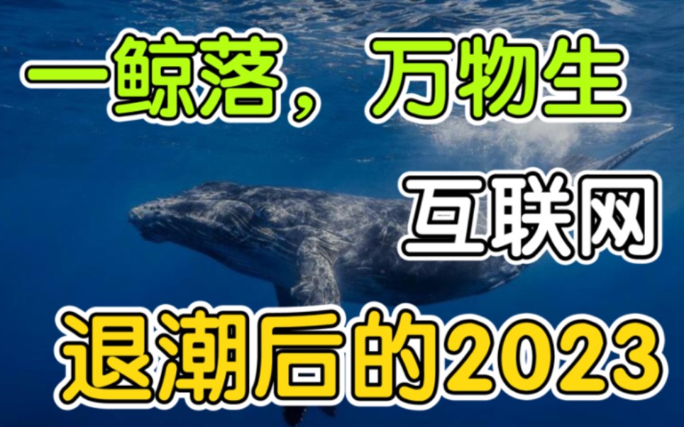 2023就业风口预测与盘点(基于2022年科技行业智库数据)哔哩哔哩bilibili