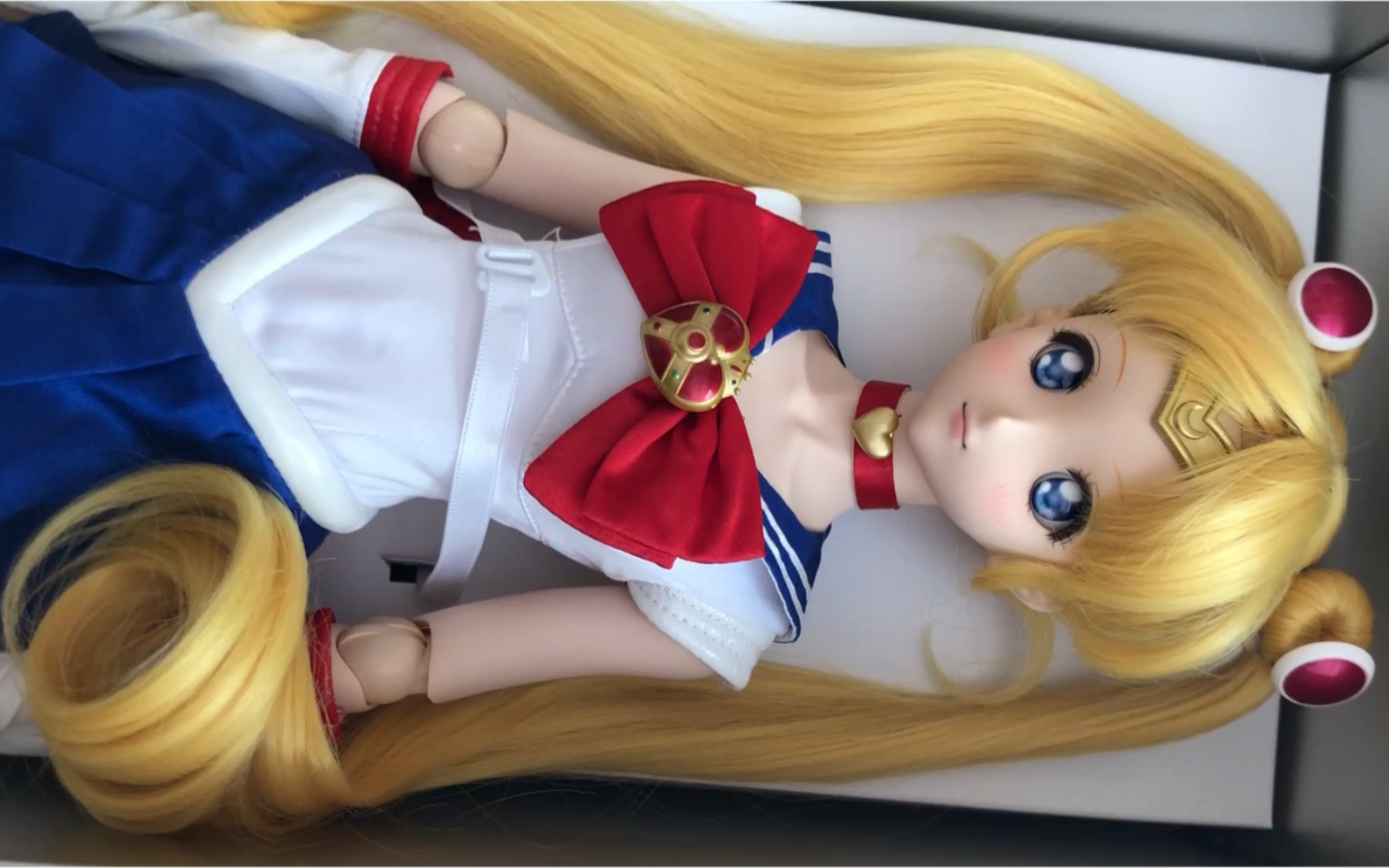 一只老v家 dd 美少女战士的展示