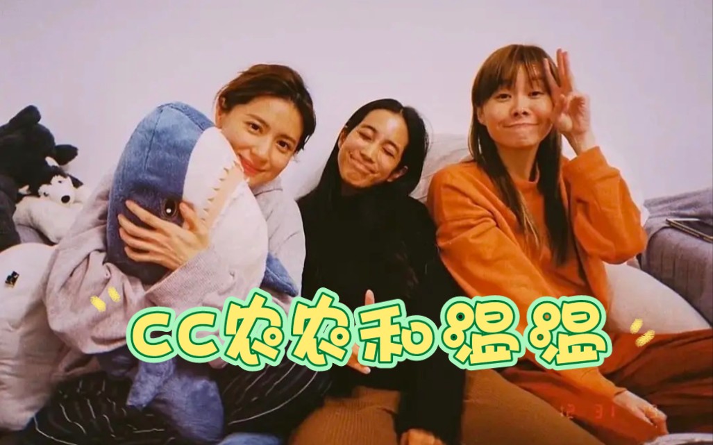 林予晞×郑宜农×温贞菱三个人的日常可爱cut