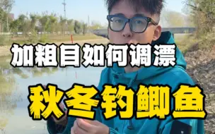 Download Video: 加粗目钓鲫鱼最快最简单的调漂方法！一学就会！