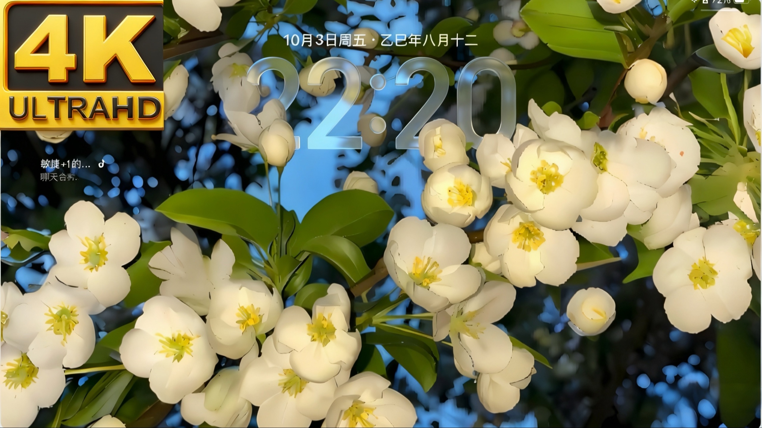 超唯美风景3d空间壁纸