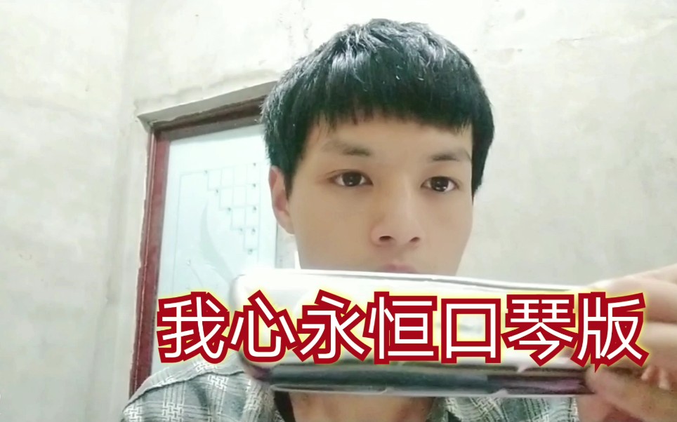 【口琴】泰坦尼克号主题曲:我心永恒!