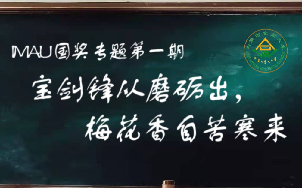 【IMAU国奖专题】第一期 宝剑锋从磨砺出,梅花香自苦寒来哔哩哔哩bilibili