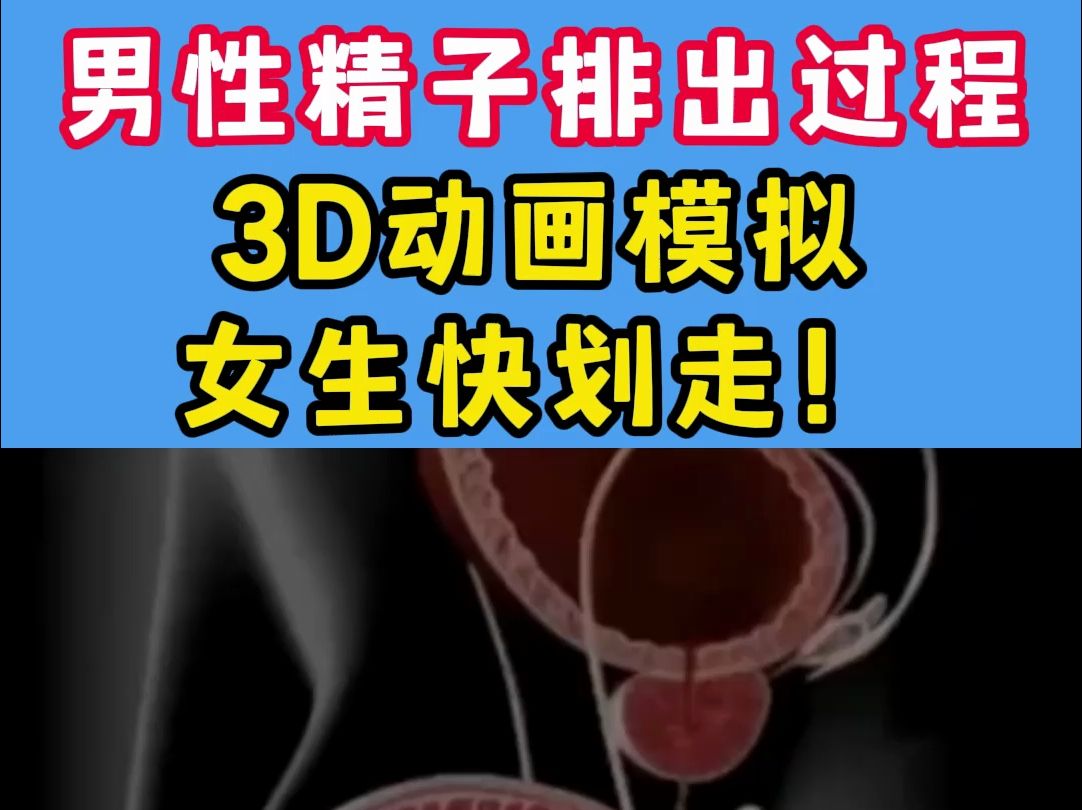 男性精子排出过程,3d动画模拟,女生快划走!