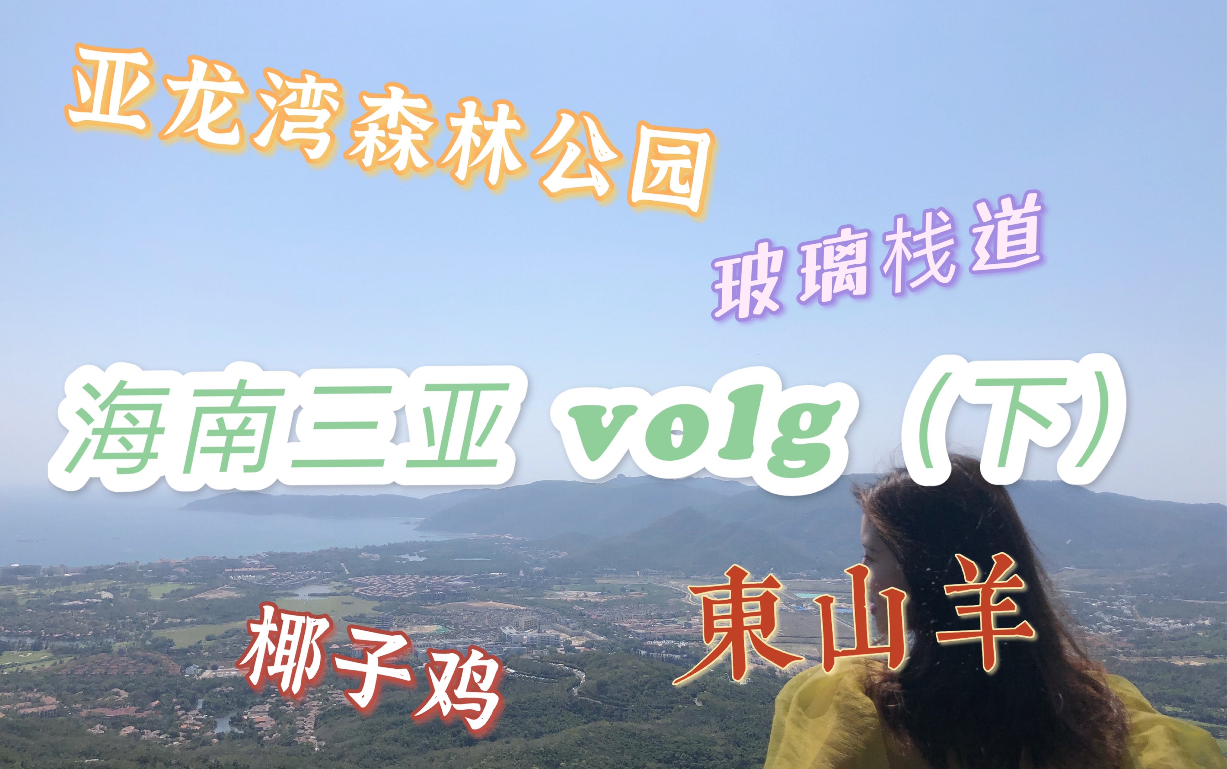 海南三亚volg(下)|亚龙湾森林公园|玻璃栈道|过江龙索桥|东山羊|椰子鸡哔哩哔哩bilibili