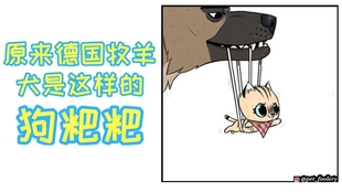 艾希有声漫画 退役军犬和小奶猫 大狗教猫咪认识自己的身体 哔哩哔哩 つロ干杯 Bilibili