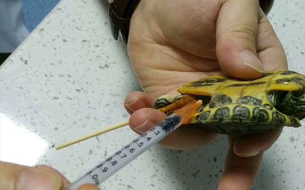 肺炎龟注射治疗