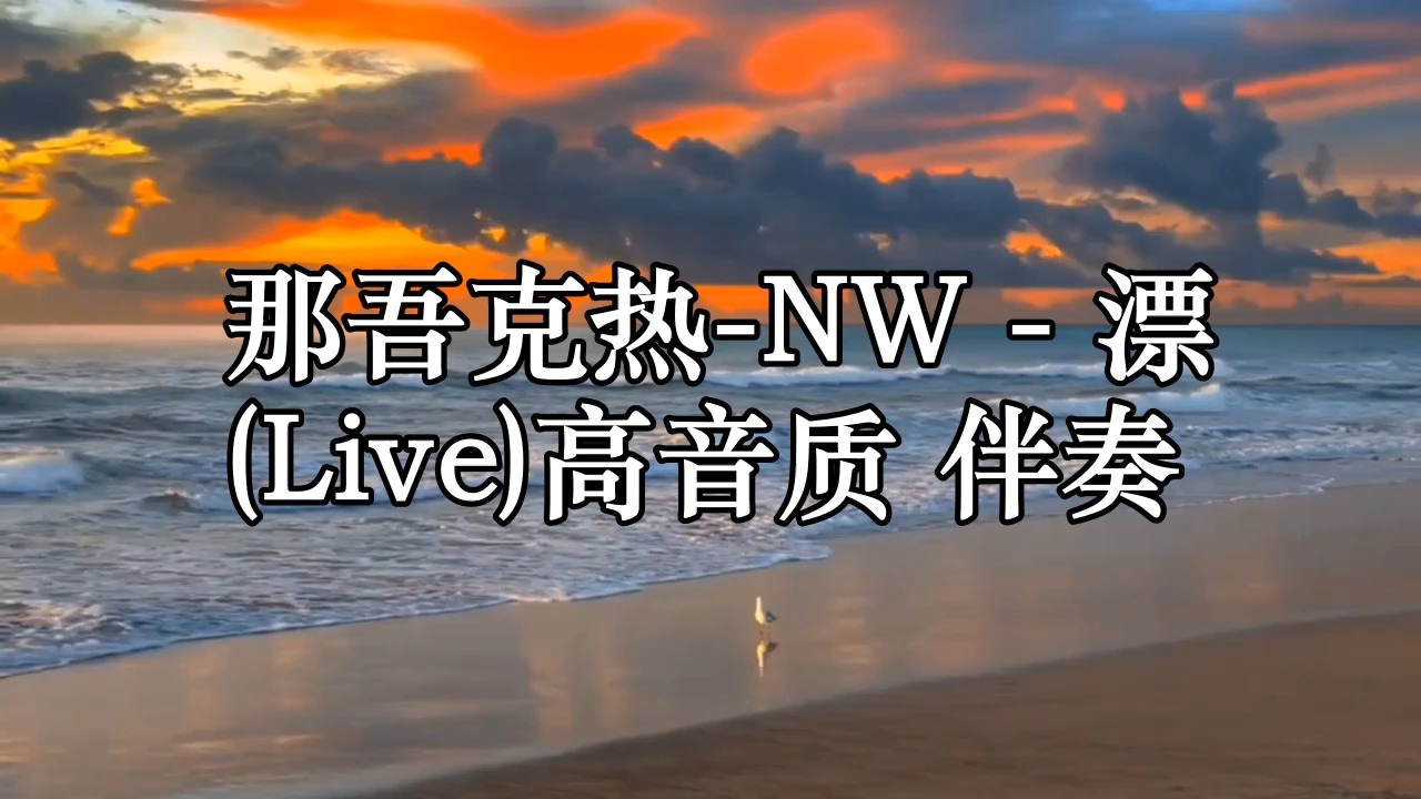 那吾克热NW  漂 (Live)高音质 伴奏哔哩哔哩bilibili