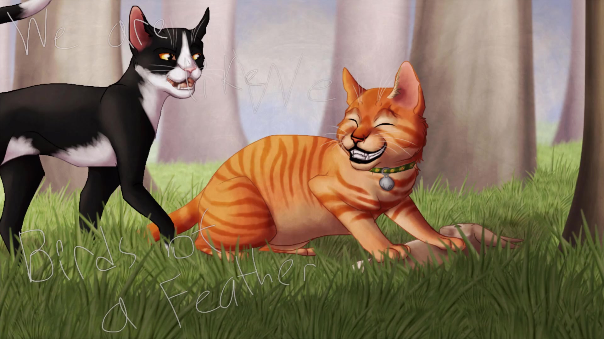 【猫武士】高星&杰克-brothers under the sun