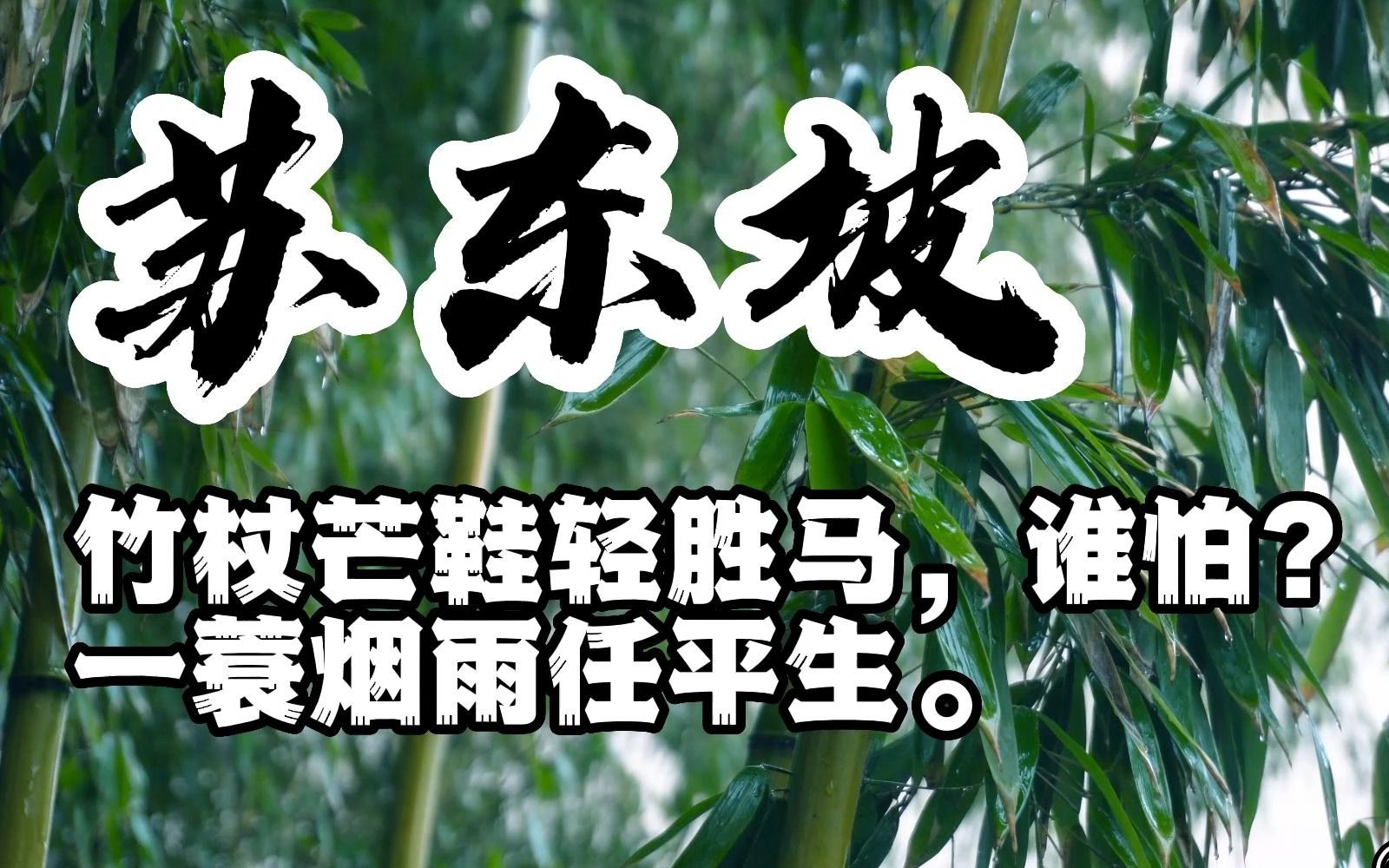 苏东坡 竹杖芒鞋轻胜马.谁怕.一蓑烟雨任平生!