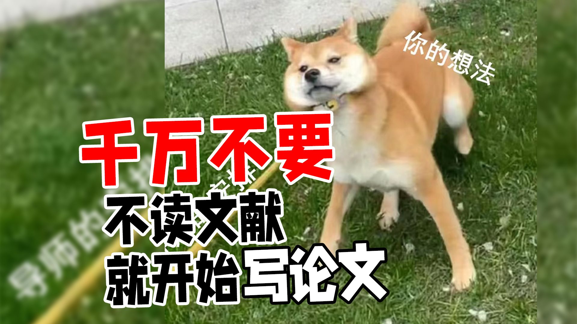 这八点!是写论文的大忌!