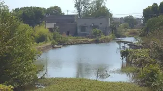 Video herunterladen: 湘潭古城村的湘南县古城旧址荡然无存，只有护城河，现在是水塘