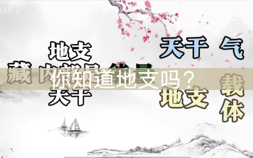 【六个知识点讲清楚地支】想学八字的快来看哔哩哔哩bilibili