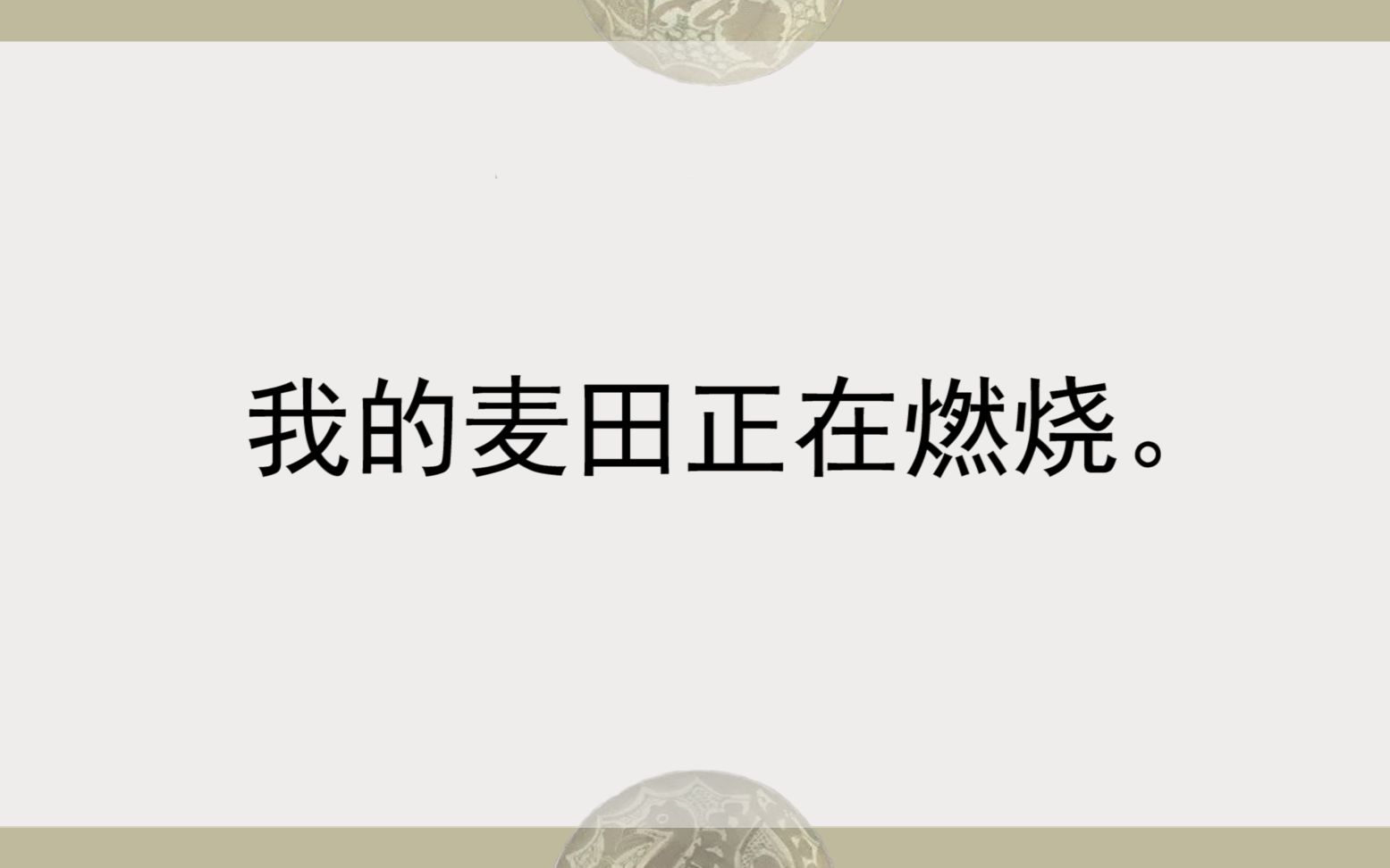 【波斯文学】【鲁米专题】我的麦田正在燃烧(第三期)(长诗预警)哔哩哔哩bilibili