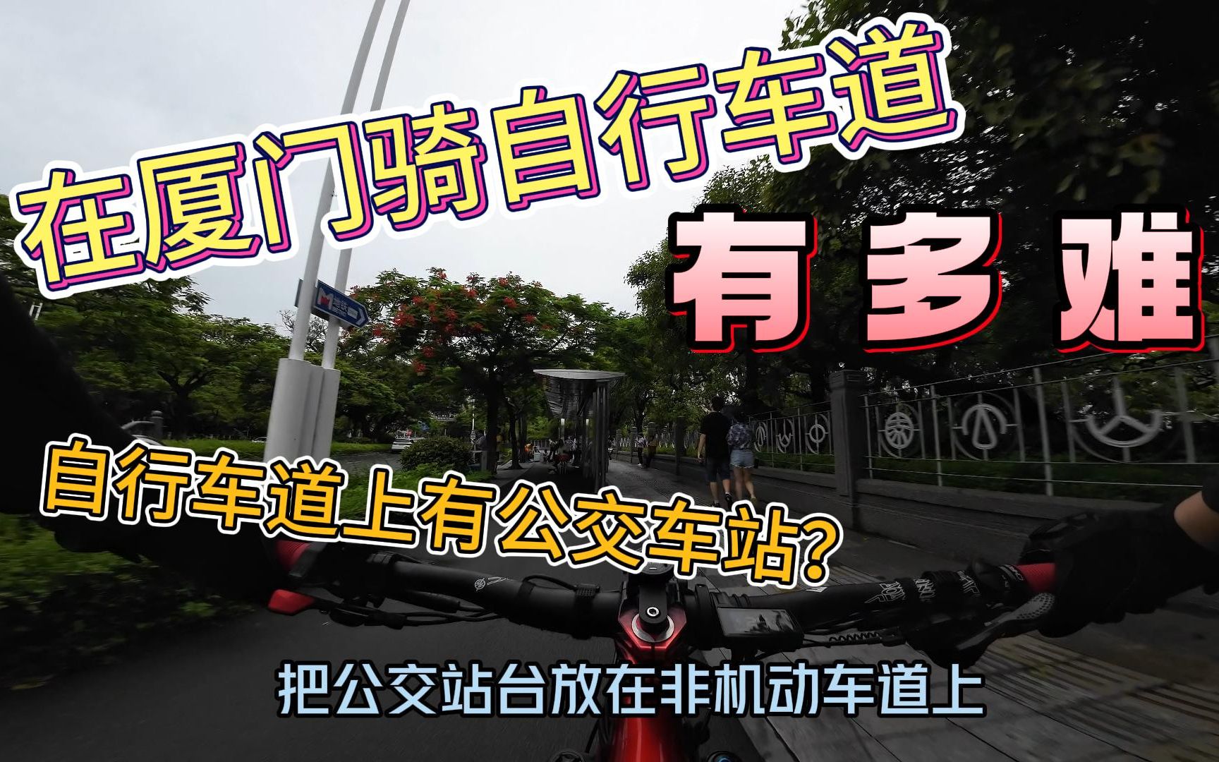 如果在厦门岛内“遵纪守法”骑自行车会更安全吗哔哩哔哩bilibili