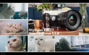 Télécharger la video: 【除了画画啥都会】佳能nfd 20 f2.8+penFT 无敌广角与半格胶片的碰撞 等效28mm视角 近距离拍猫猫 又可以拍到猫猫奇奇怪怪的视角啦