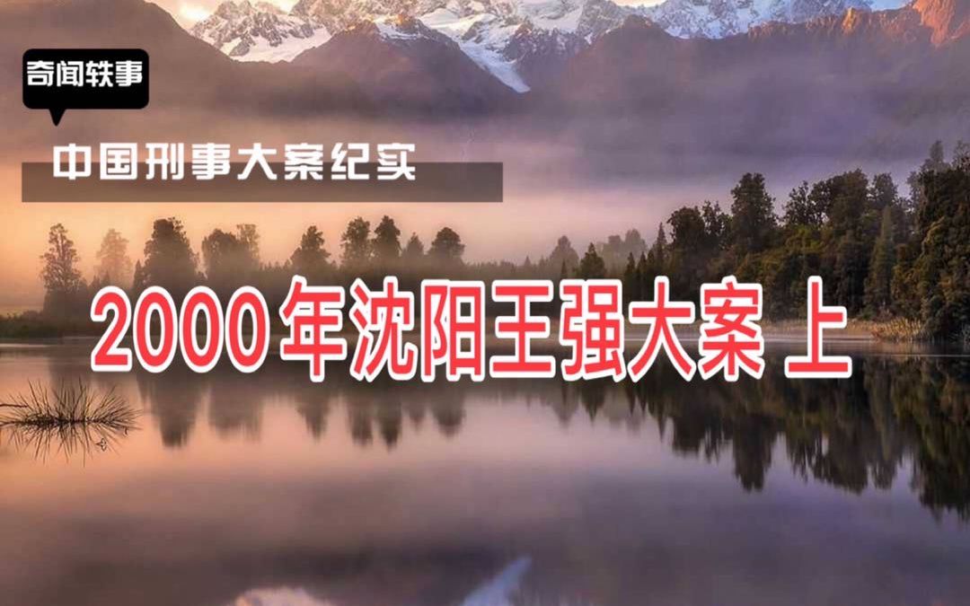 [图]【大案纪实】2000年沈阳王强大案 上