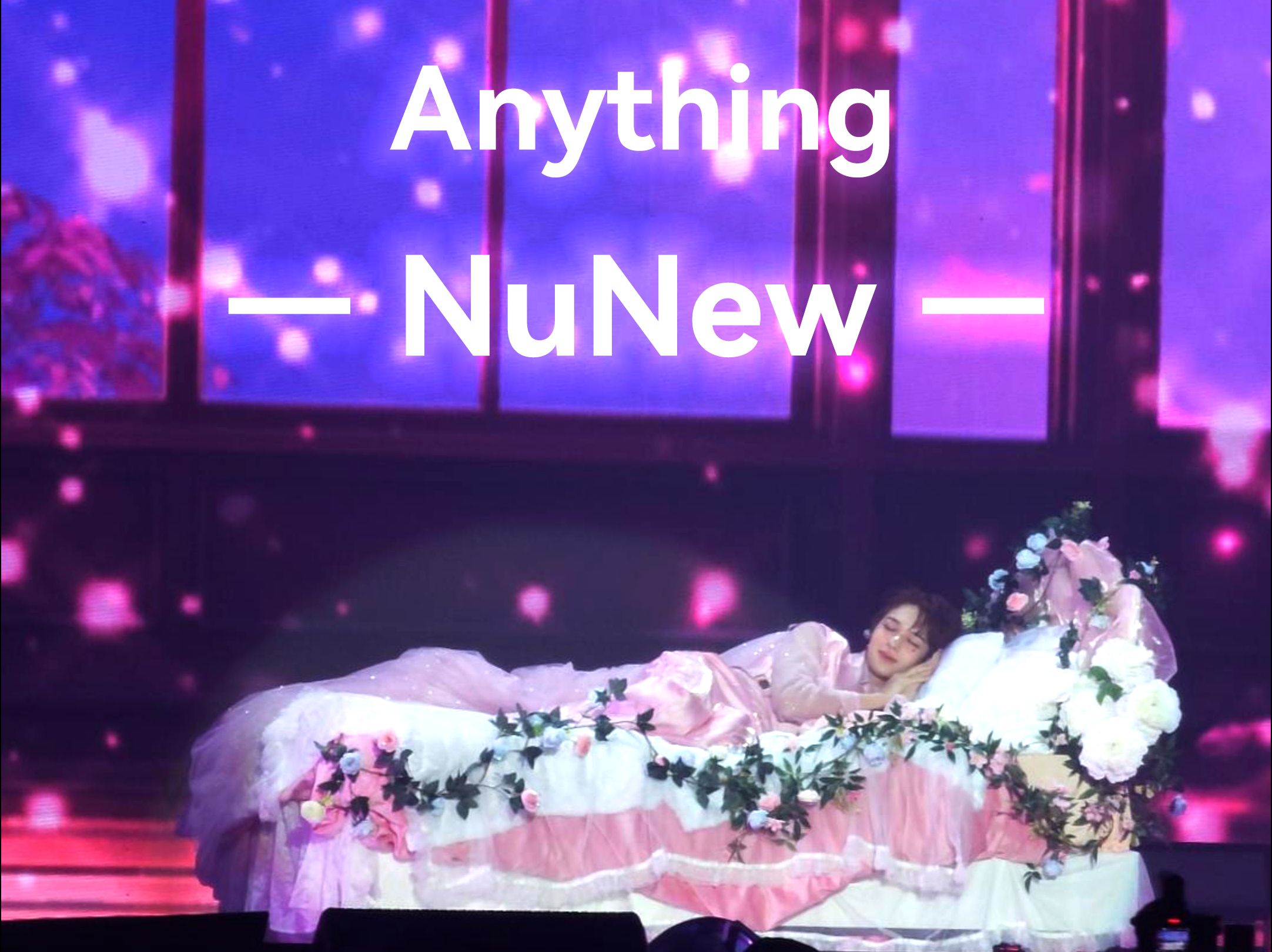 AnythingNuNew哔哩哔哩bilibili