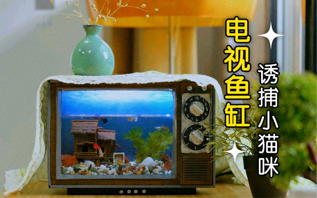 【鱼缸改造|教程】让小猫咪也拥有自己的电视!