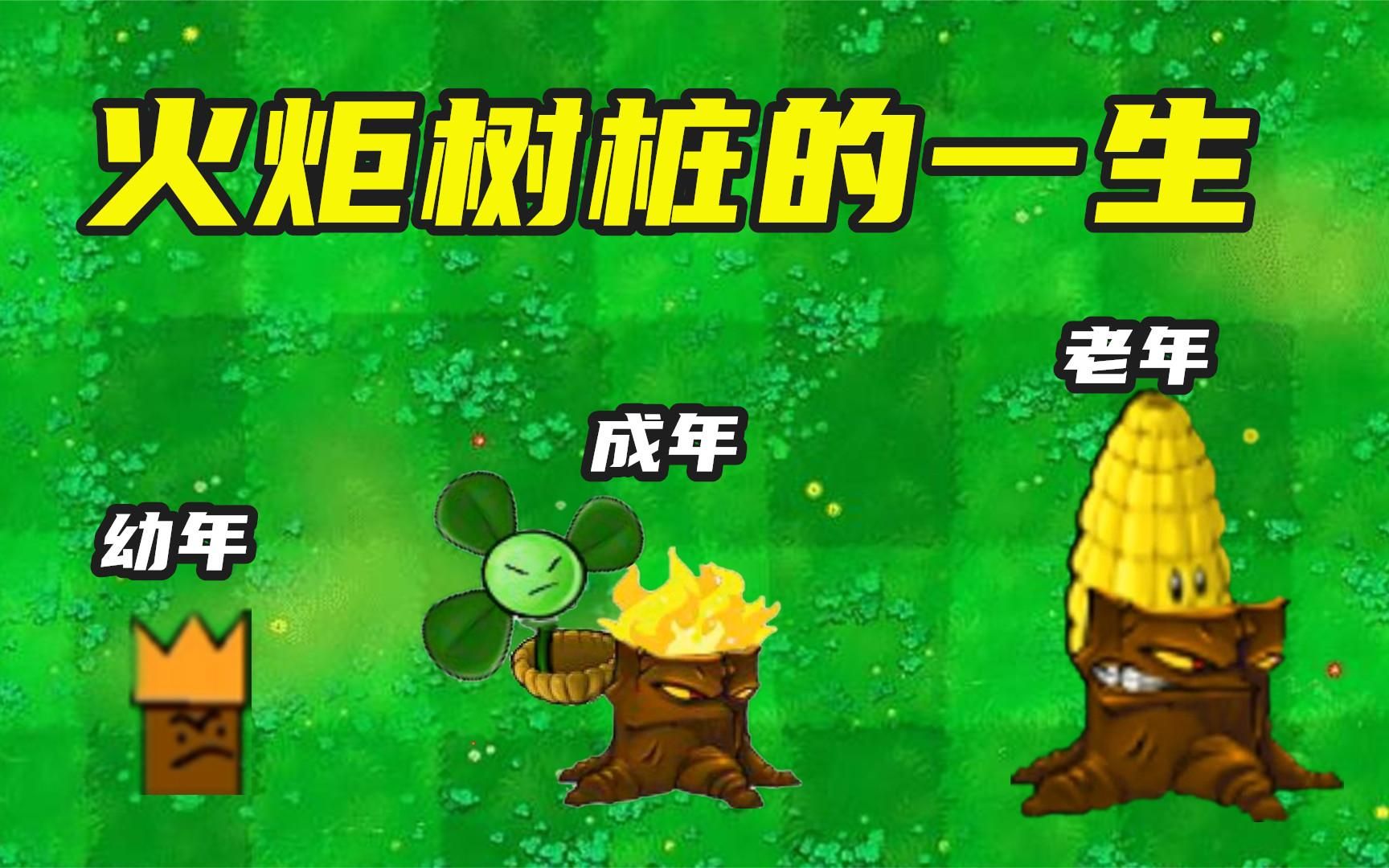 植物大战僵尸:火炬树桩的一生,和三叶草是最亲密的朋友?