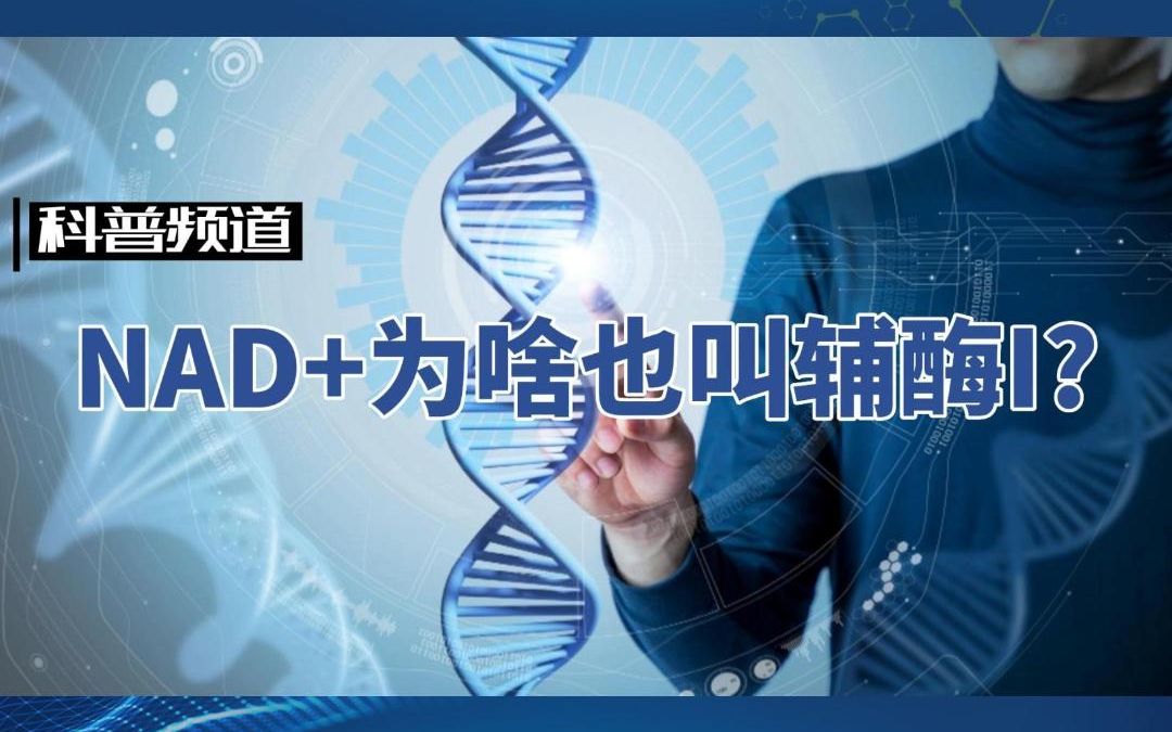 觅能科普 | NAD+为什么也叫辅酶I?哔哩哔哩bilibili