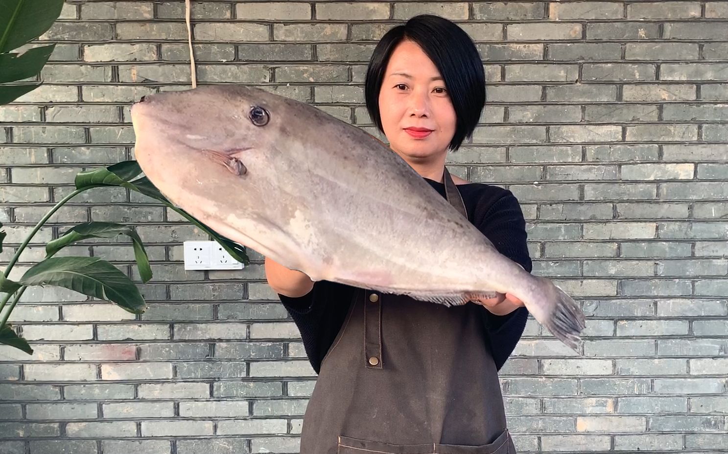 60买一条大耗儿鱼,海边人做一菜两吃,比四川水煮鱼还要香,过瘾