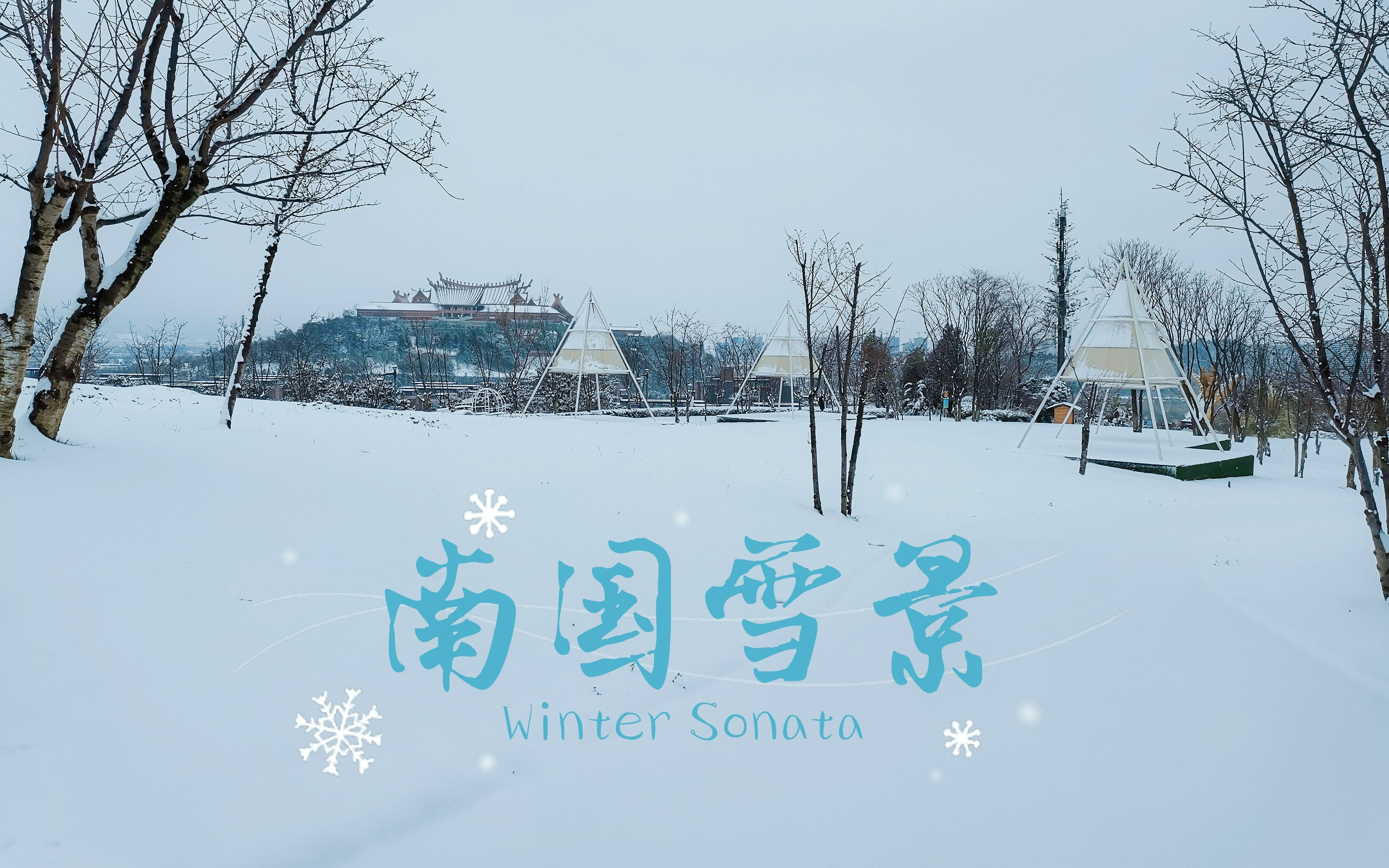 [图]『南国雪景』一朝雪落，半梦人间。