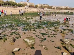 Скачать видео: 海边渔业