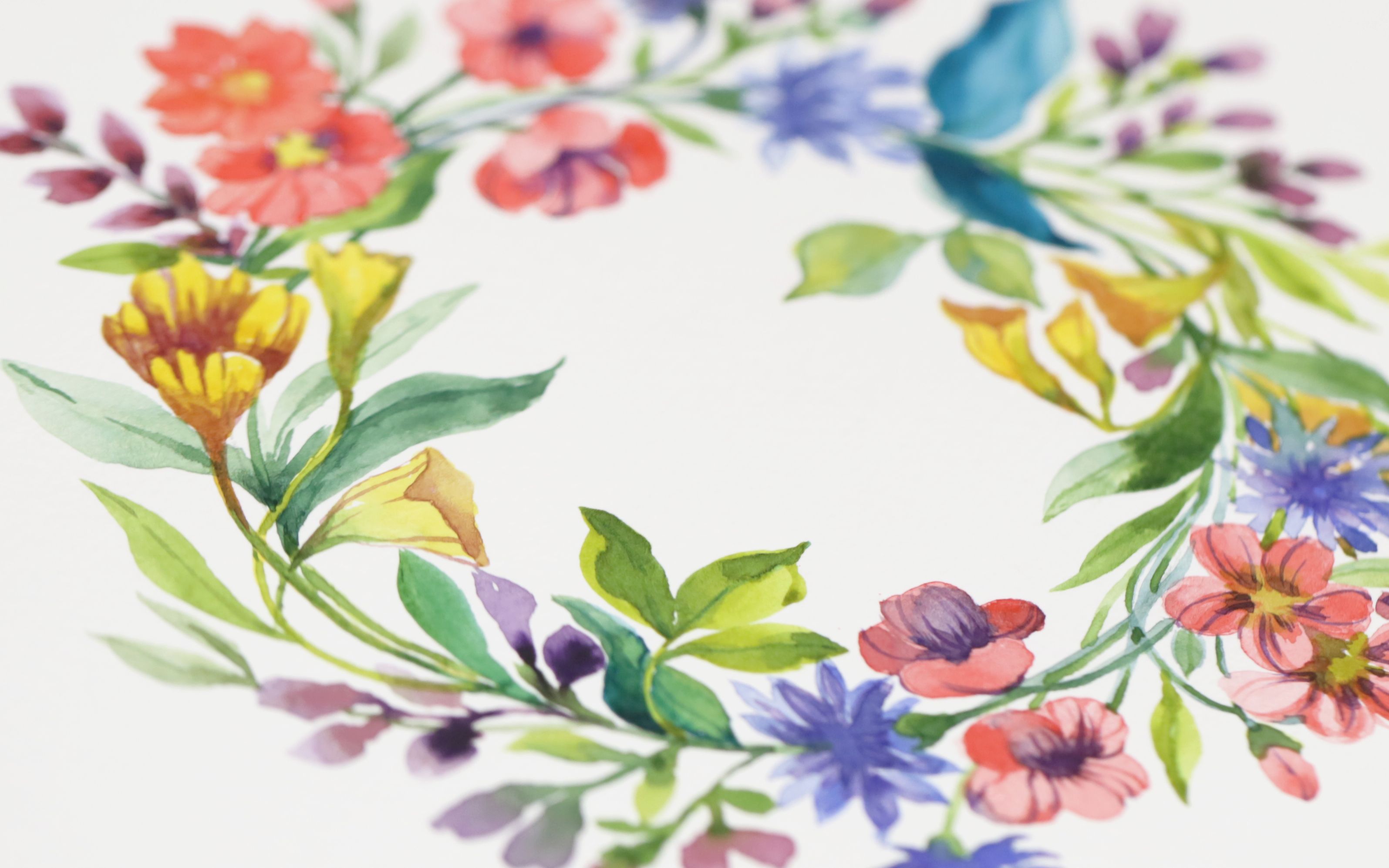 【大八手绘】不打稿水彩花卉环-热烈而美好!